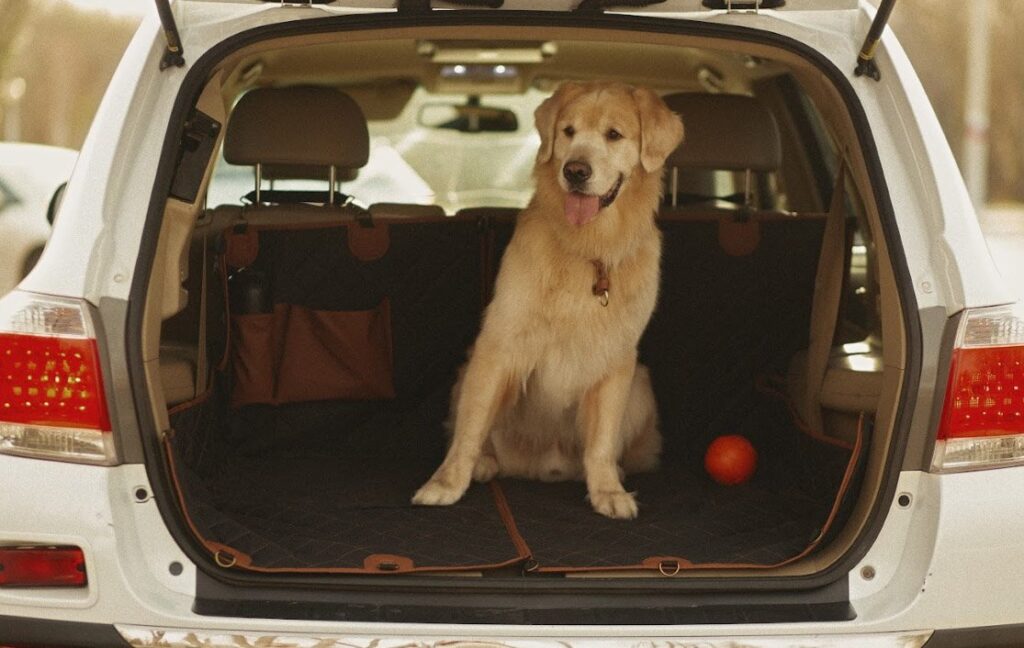 dog seat cover