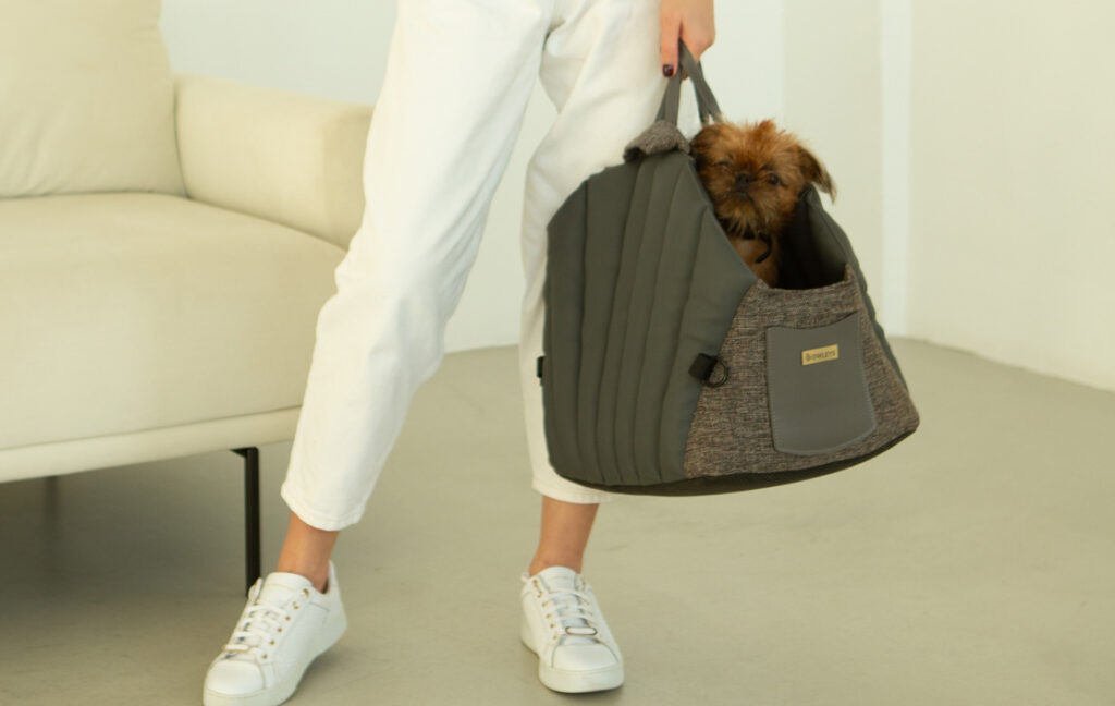 dog carrier