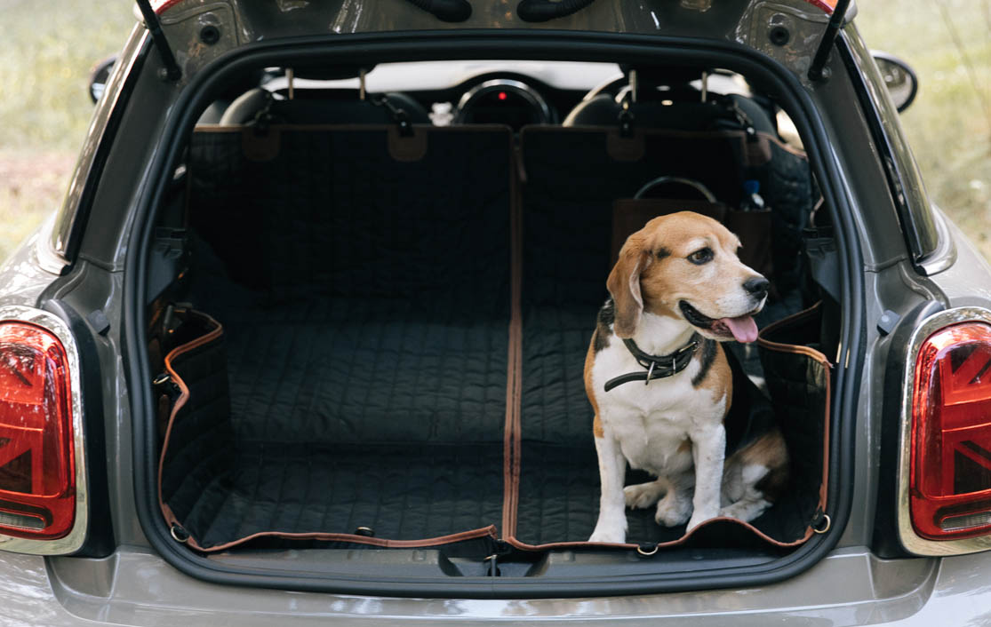 Car Dog Cover: The Secret to Spotless Pet Car Journeys